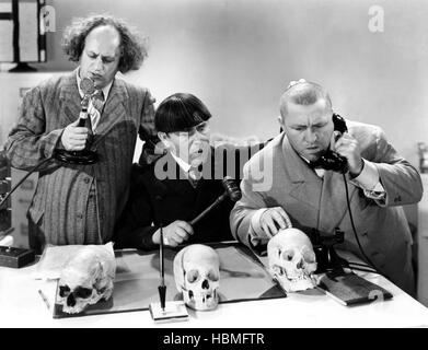 DIZZY DOCTORS, Larry Fine, Moe Howard, Curly Howard [The Three Stooges ...