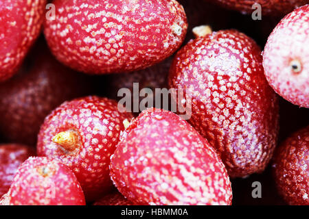Goji berries frozen background Stock Photo