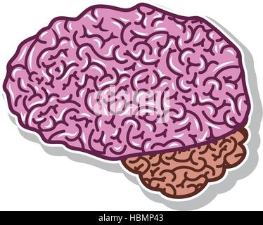 brain silhouette light purple color with side view vector illustration Stock Vector