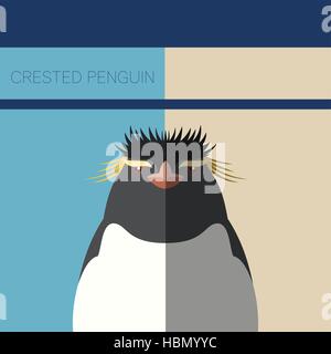 Vector image of the Crested Penguin flat postcard Stock Vector