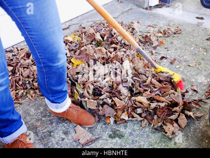 Woman sweeping and clearing up fallen Autumn leaves from her driveway in Brighton UK Stock Photo