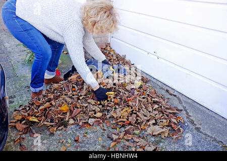 Woman sweeping and clearing up fallen Autumn leaves from her driveway in Brighton UK Stock Photo