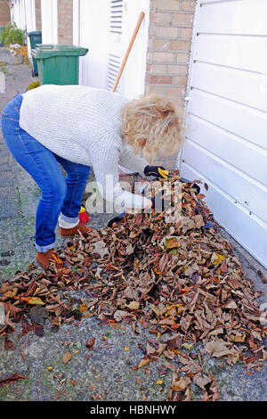 Woman sweeping and clearing up fallen Autumn leaves from her driveway in Brighton UK Stock Photo