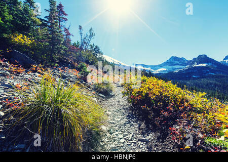 Glacier Park Stock Photo