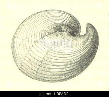 Geologiccal Formation An illustration from 'Geology, introductory, descriptive and' detailing ...