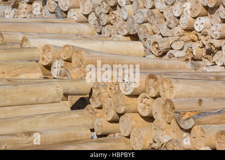 Pile of wood logs ready for winter Stock Photo