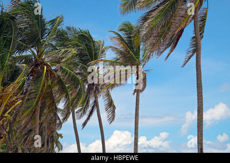 The beauty of the tropical Island San Andrés, Colombia Stock Photo