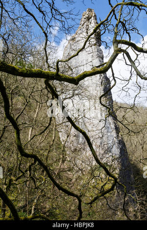 The limestone pinnacle known as Ilam Rock in Dovedale, Peak District National Park, England Stock Photo