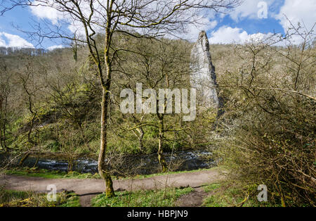 The limestone pinnacle known as Ilam Rock in Dovedale, Peak District National Park, England Stock Photo