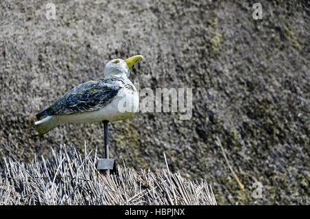 Rotten figure of a seagull on a reed roof Stock Photo