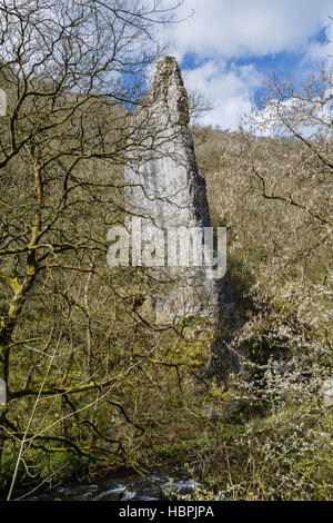 The limestone pinnacle known as Ilam Rock in Dovedale, Peak District National Park, England Stock Photo