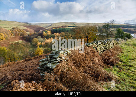 Goyt Valley near Fernilee and Erwood Reservoirs, Peak District National Park, Derbyshire, England Stock Photo