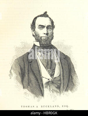 Edwards's Great West and her Commercial Metropolis, embracing a general view of the West, and a complete history of St. Louis ... With portraits and biographies of ... old settlers, etc Image taken from page 463 of 'Edwards's Great West and Stock Photo