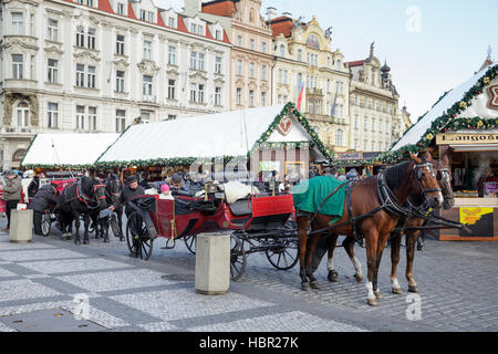 Horses wait to take tourists on a tour in the Old Town Square, Prague, Czech Republic Stock Photo