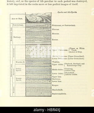 [The Coal-Regions of America; their topography, geology and development. With a colored geological map of Pennsylvania ... and numerous other maps and illustrations.] Image taken from page 650 of '[The Coal-Regions of America; Stock Photo