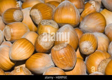 Hazelnuts Stock Photo