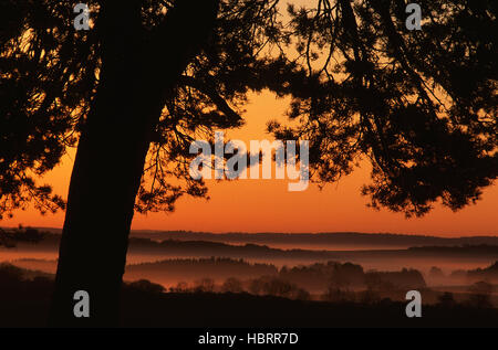 Sonnenaufgang auf der Schwaebischen Alb Stock Photo