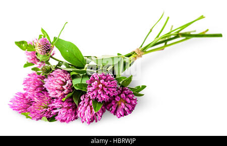 Bouquet of clover tied with rope isolated on white background Stock Photo