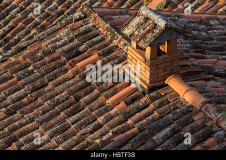 Pan tiled rooves of Barga. The medieval hilltop town of Barga, in Tuscany, Italy. Stock Photo