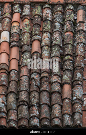 Pan tiled rooves of Barga. The medieval hilltop town of Barga, in Tuscany, Italy. Stock Photo