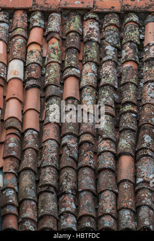 Pan tiled rooves of Barga. The medieval hilltop town of Barga, in Tuscany, Italy. Stock Photo