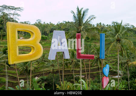 Word Bali in terrace fields near Ubud in Bali. Indonesia Stock Photo