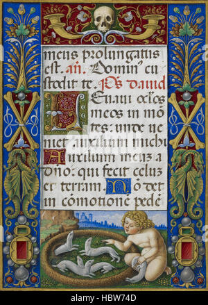 Sforza Hours - caption: 'Text page from Office of the Dead with decorated border showing a putto playing with ermines' Sforza Hours - caption 'Text page from Office of the Stock Photo