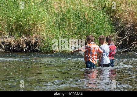 Kids exploring a river in Northeast Oregon. Stock Photo