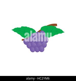 Blue grapes bunch isometric 3d icon Stock Vector