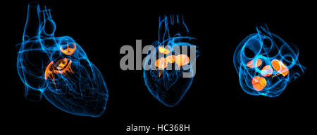 3d render illustration of the  Heart valve Stock Photo