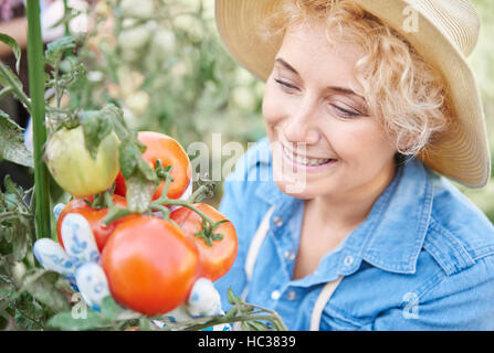 Blond woman holding bush of tomatoes Stock Photo