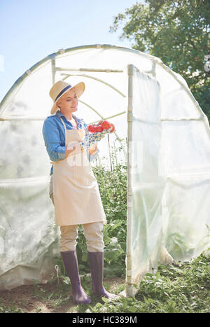 Woman standing next to the greenhouse with tomatoes Stock Photo