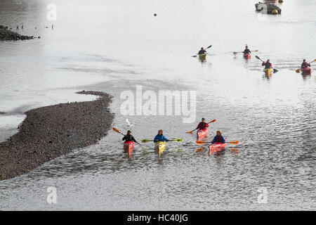 Putney, London, UK. 7th Dec, 2016. Weather. Canoeists enjoy paddling in the winter sunshine on River Thames in Putney Credit:  amer ghazzal/Alamy Live News Stock Photo