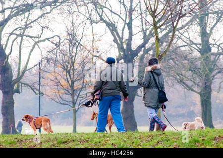 Wandsworth Common, London, UK. 7th Dec, 2016. Locals walking their dogs. Early morning on the common. Credit:  JOHNNY ARMSTEAD/Alamy Live News Stock Photo