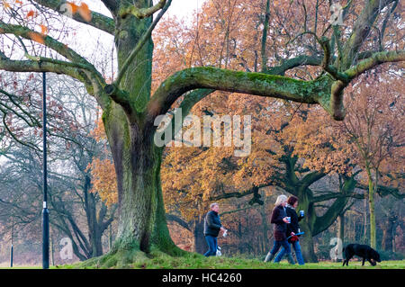 Wandsworth Common, London, UK. 7th Dec, 2016. Locals walking their dogs. Early morning on the common. Credit:  JOHNNY ARMSTEAD/Alamy Live News Stock Photo