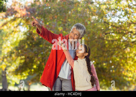 Granddaughter with grandmother pointing while standing at park Stock Photo