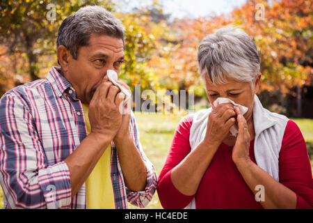 An elderly couple giving a blow Stock Photo