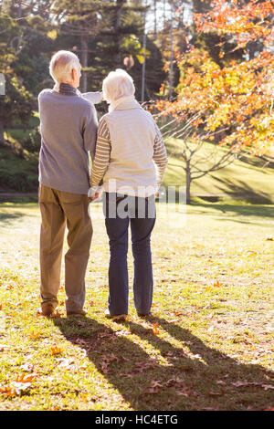 Senior couple holding hands and the man showing something Stock Photo