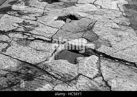 Dinosaur footprint on stone, extinct animals Stock Photo