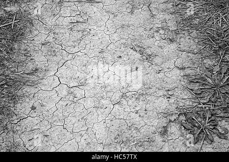 Open land in arid desert country, environment Stock Photo