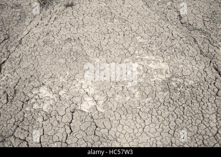 Open land in arid desert country, environment Stock Photo