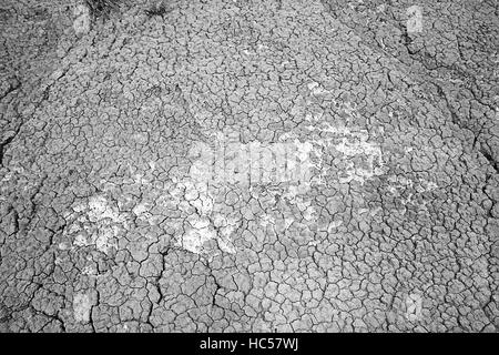 Open land in arid desert country, environment Stock Photo