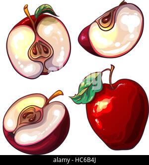 Set with red fresh apples and pieces of apples. The red apple isolated on a white background. Bright summer fruit. Vector illustration Stock Vector