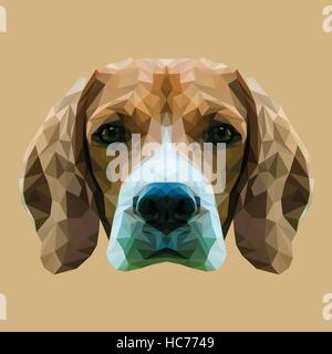 Beagle dog low poly design. Triangle vector illustration Stock Vector
