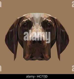 Pointer dog low poly design. Triangle vector illustration Stock Vector