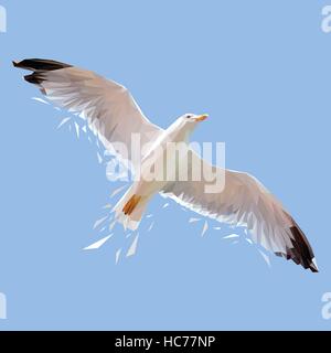 Seagull bird low poly design. Triangle vector illustration Stock Vector
