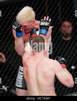 Michael Bisping, bottom, fights Jason Miller at The Ultimate Fighter 14 Finale at the Palms in Las Vegas, Nevada on Saturday, December 3, 2011. Photo by Francis Specker Stock Photo