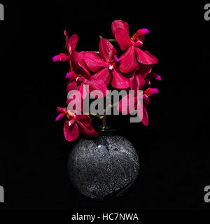 bouquet of purple orchids in a black vase on a black background Stock Photo