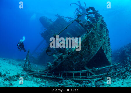 Single diver explores the wreck of Giannis D, which sank in 1983 in Abu Nahas, Red Sea, Egypt. Young coral establishing a new reef. Stock Photo