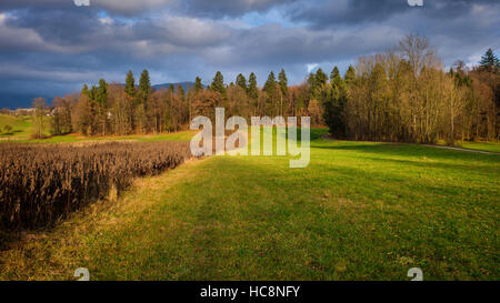 Countryside landscape in the evening light with clouds in the sky and fields, grass and forest below. Captured in Slovenia. Stock Photo